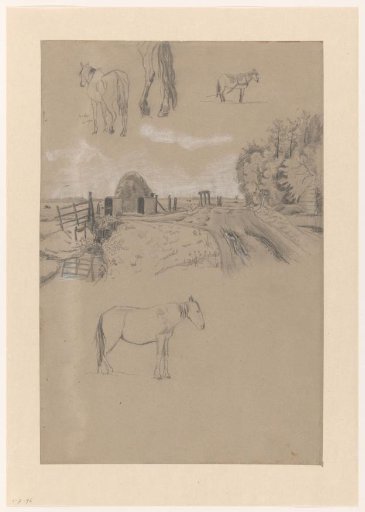 Meadow and Studies of a Horse