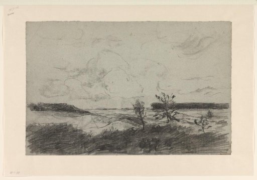 Flat landscape