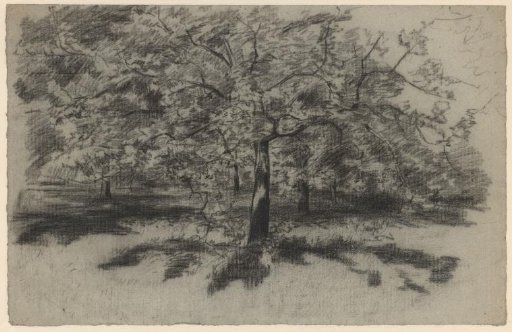 Landscape with trees
