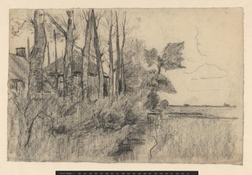 House among trees