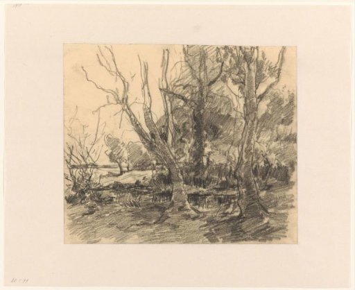 Landscape with trees