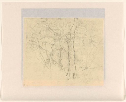Sketch of trees