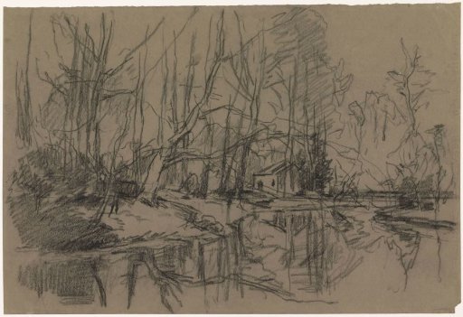 Forest view with a pond