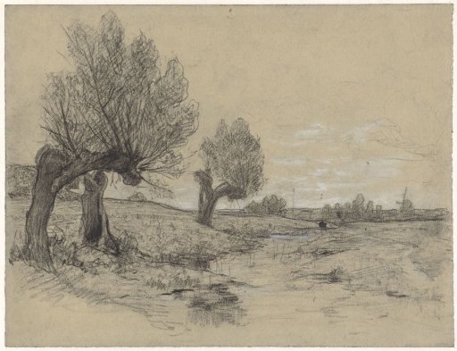 Three pollarded willows along a ditch