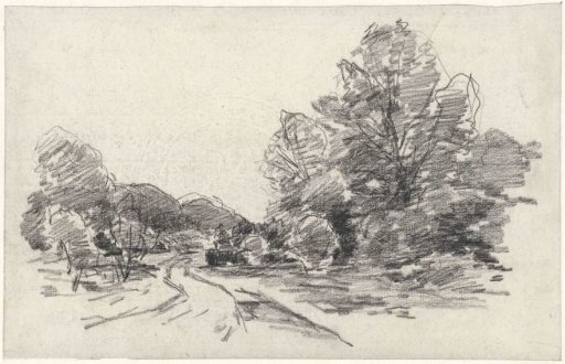 Path with trees on either side