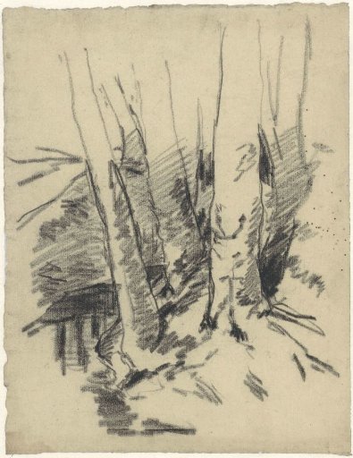 Study of four tree trunks
