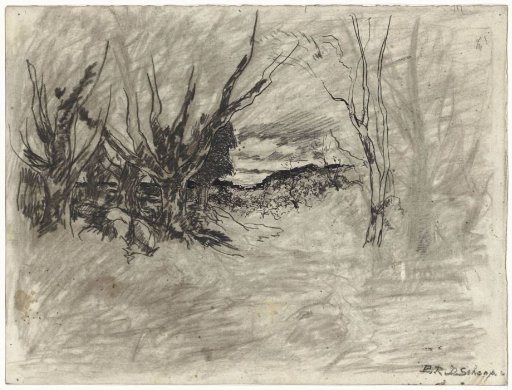 Landscape with a few trees