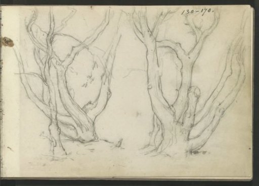 Trees