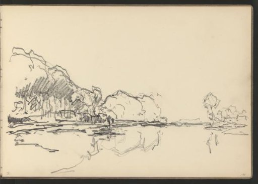 Trees on a waterfront