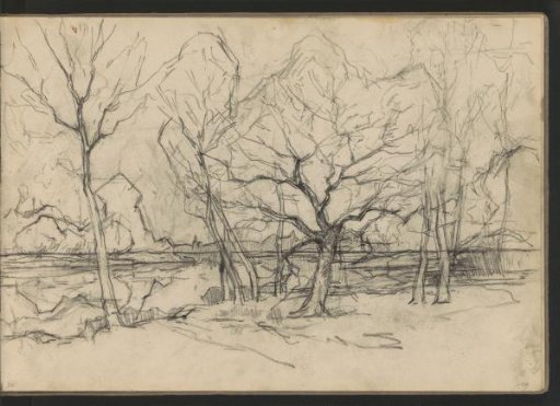 Landscape with trees on a waterfront