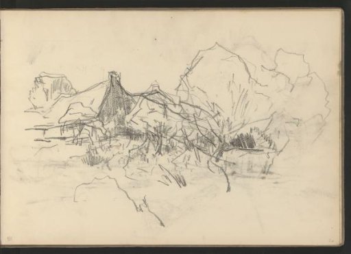 Houses among the trees