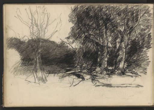 Trees