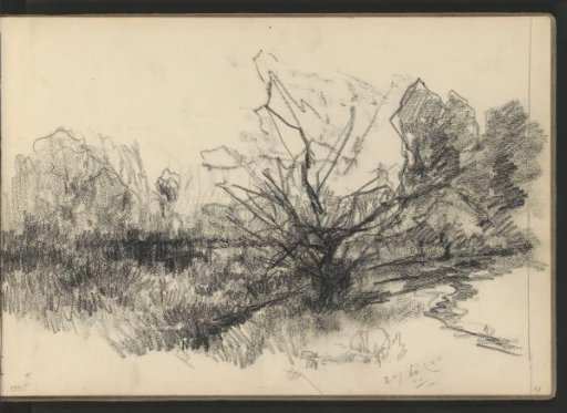 Landscape with trees