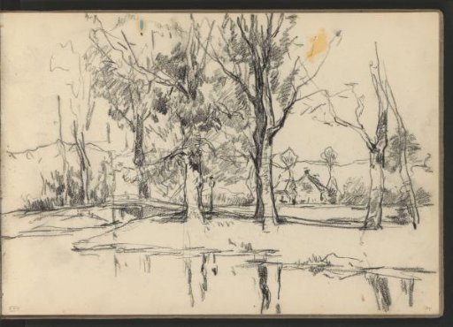 Trees by the water