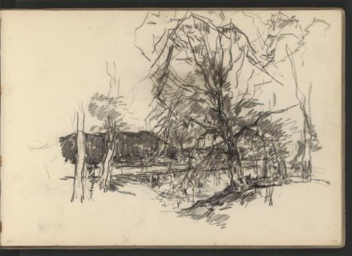 Trees and houses by the water