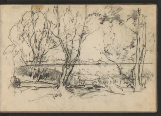 Trees by the water