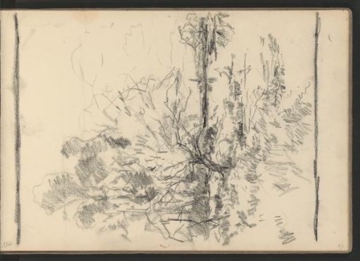 Landscape with trees by the water