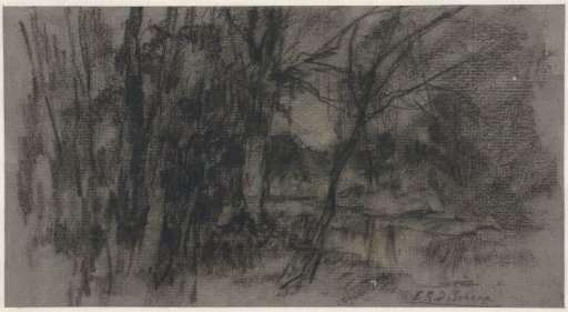 Deciduous trees by the water