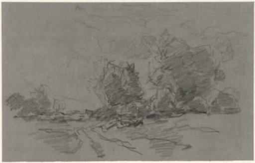 Landscape with a few tall trees