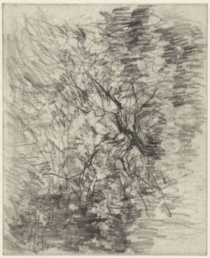 Landscape with a bush