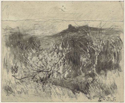 Dune landscape