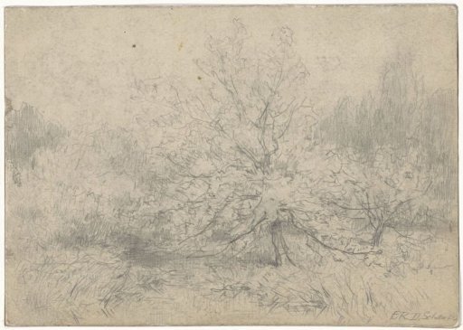 Landscape with a tree prominent in the middle