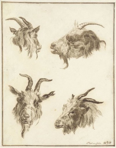 Four Studies of Goat Heads