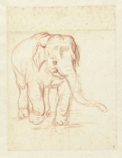 Walking elephant