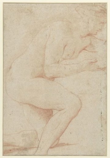 Study of a female nude, leaning on the knee
