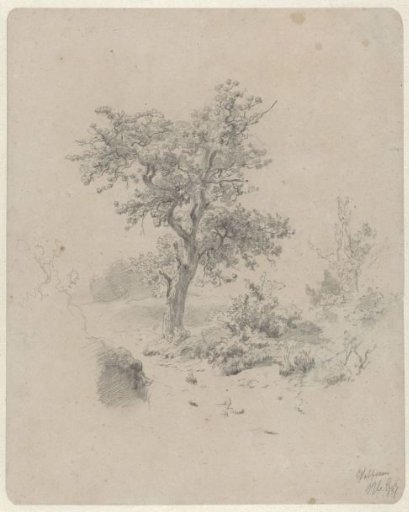 Landscape with Oak