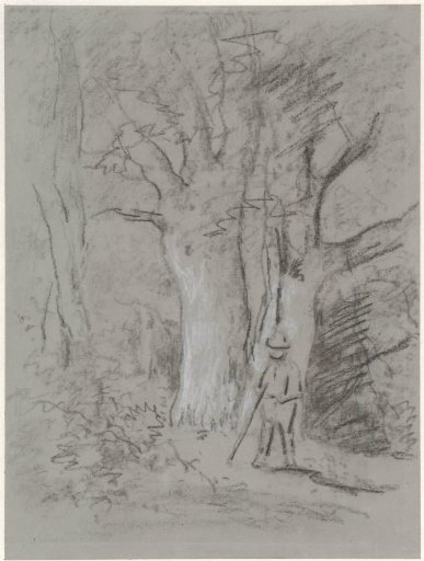 Man under trees in a forest