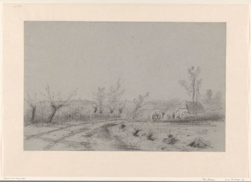 Country road with pollard willows