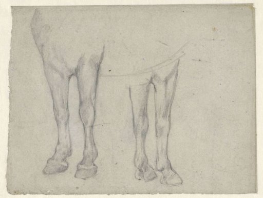 Studies of a horse