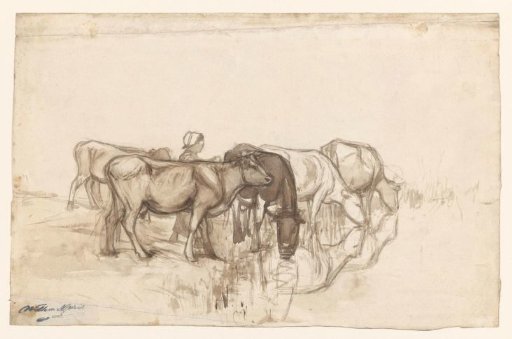 Five Cows Drinking at the Edge of a Ditch