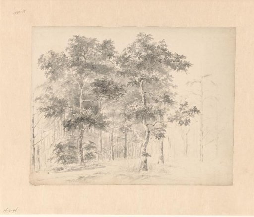 Wooded landscape