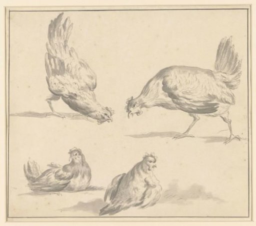 Four Studies of Hens