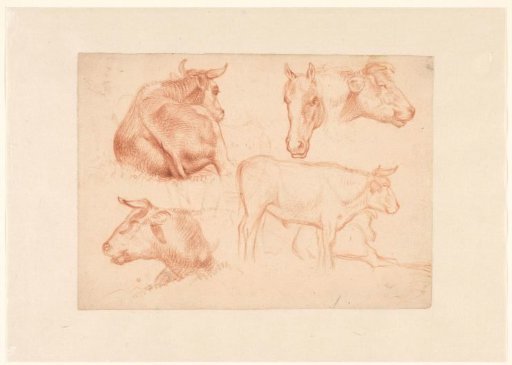 Sketch Sheet With Various Studies Of Cows And A Study Of A Horse's Head