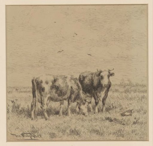 Two Cows in a Meadow