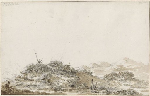 Dune landscape