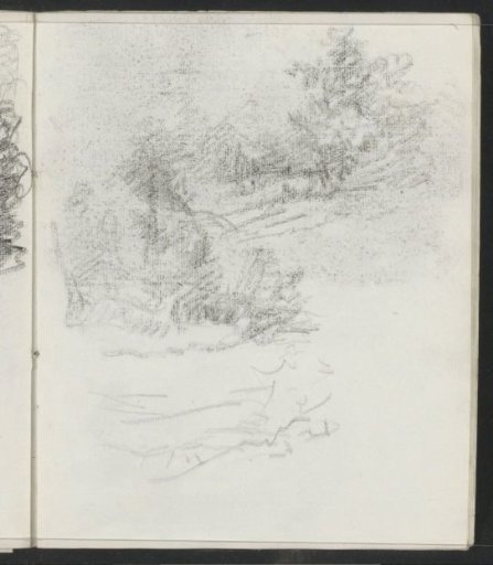 Landscape with trees