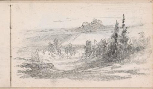 Hilly landscape with trees