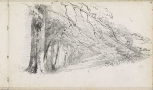 Trees with Low-Hanging Branches