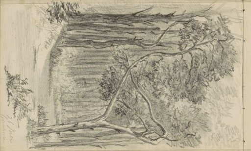 Forest path near Groesbeek