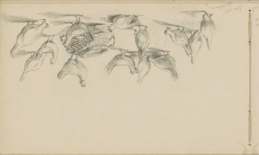 Foraging chickens