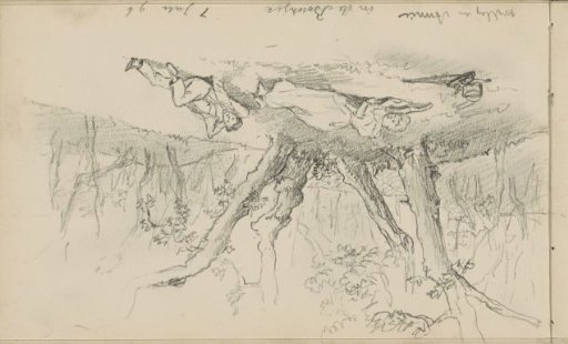 Willy and Annie resting in the forest