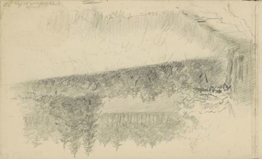 Landscape at Oosterbeek