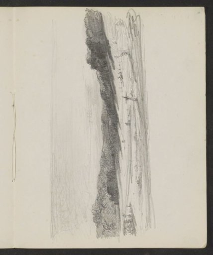 Landscape with Trees