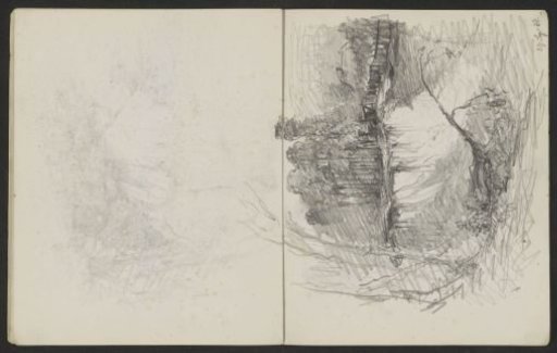 Landscape with Trees by the Water