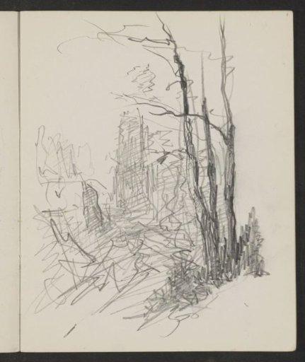 Bare Trees