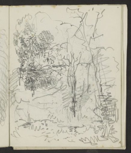 Landscape with Trees